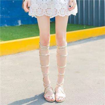 球王会体育app下载